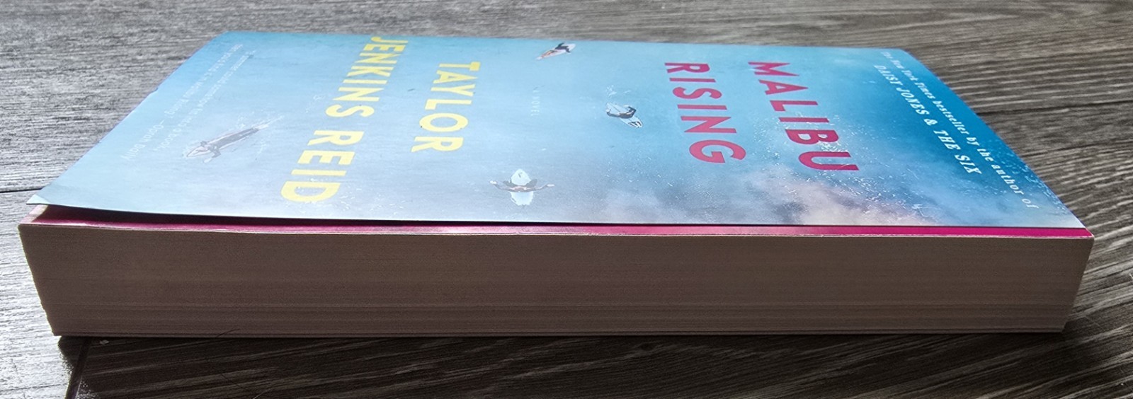 Malibu Rising a Novel by Taylor Jenkins Reid (2021, Trade Paperback)