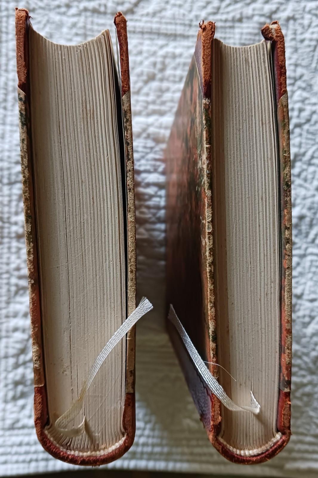 Versuch über die Ungleichheit Der Menschenracen, Gobineau, Volumes 1 & II, 1922