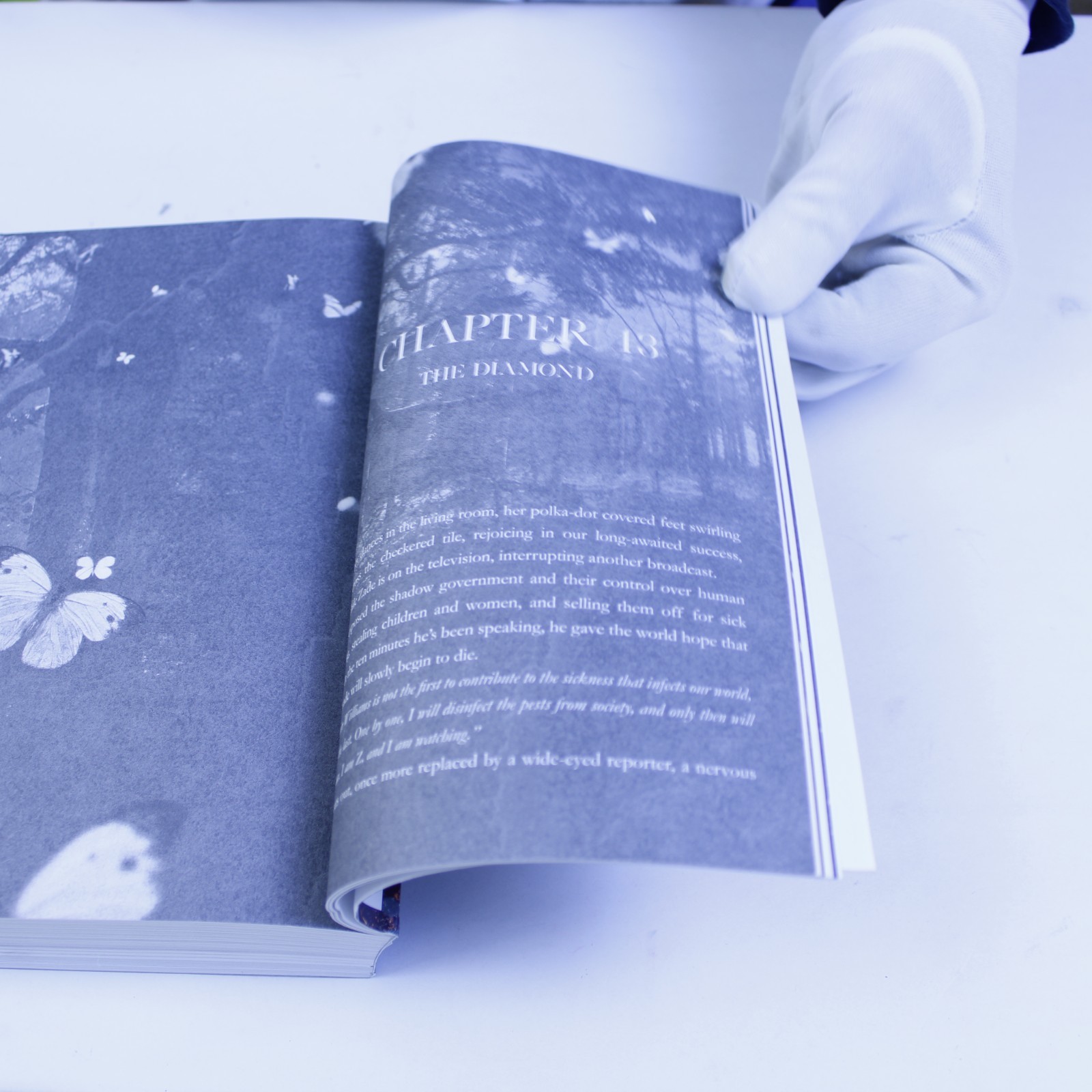 Survive the Obsession with Dark Romance Thriller Hardcover by Cat and Mouse,