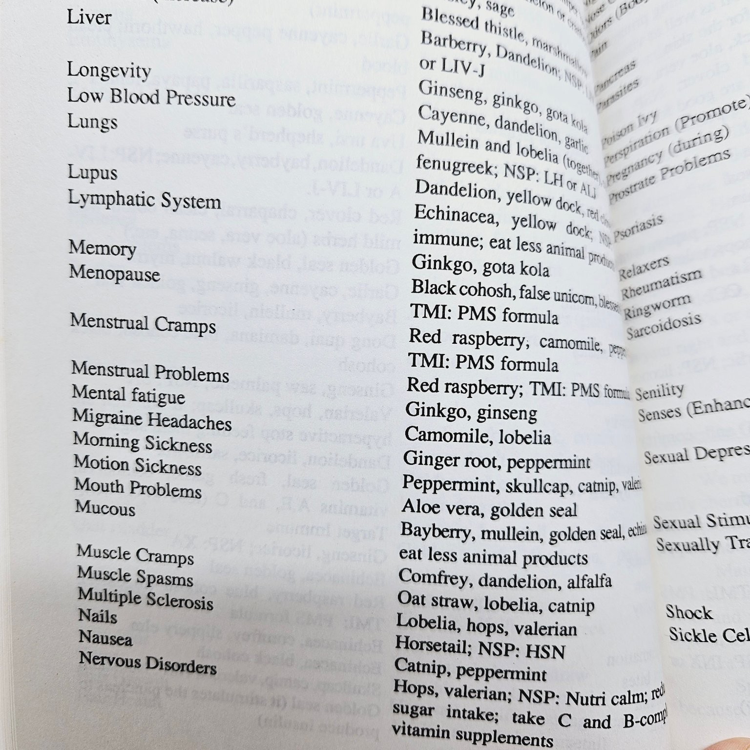 Spiritual Nutrition / Healthy Foods Handbook – Keith T. Wright 1989 Pbk
