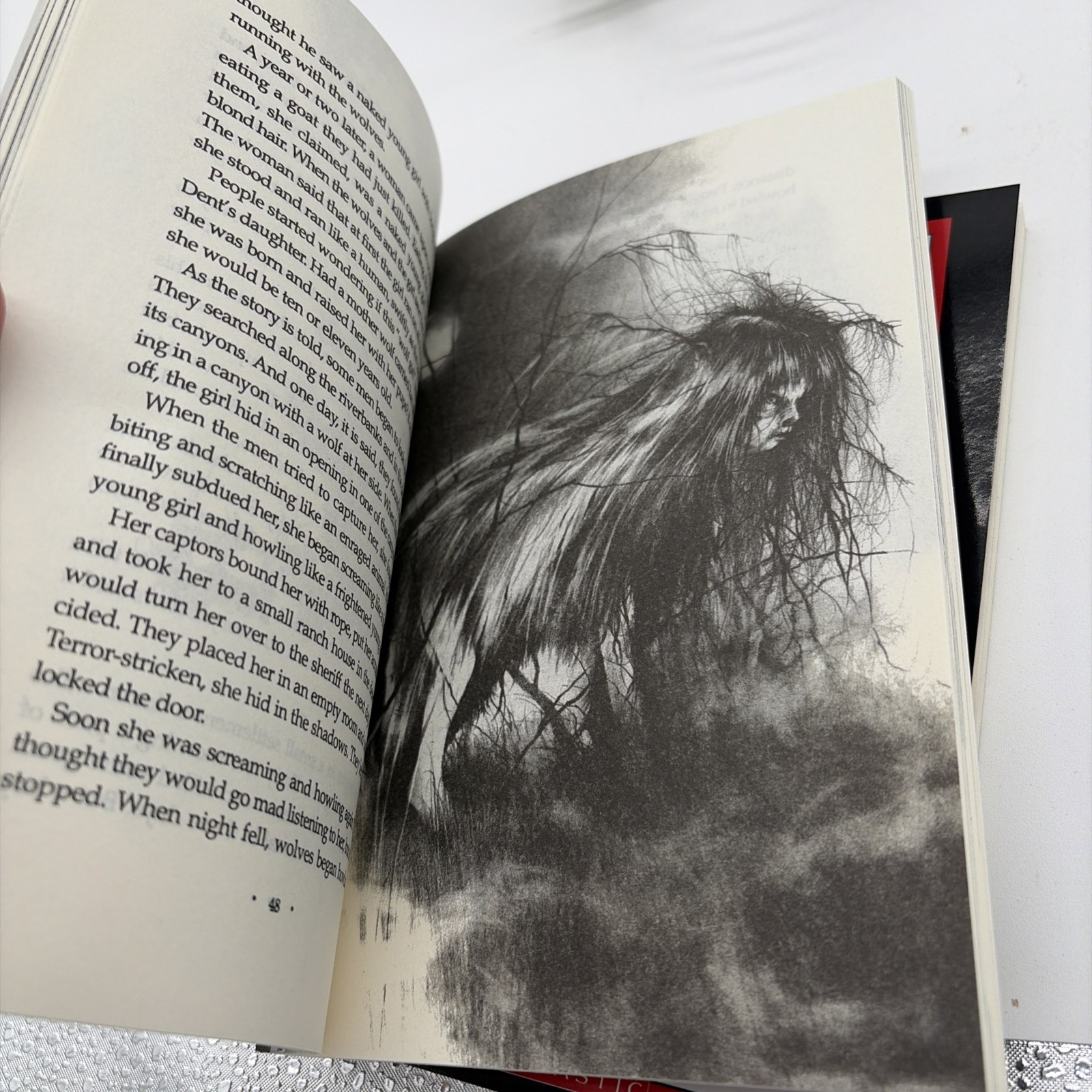 Scary Stories to Tell in the Dark Book Set 1 2 3 By Alvin Schwartz