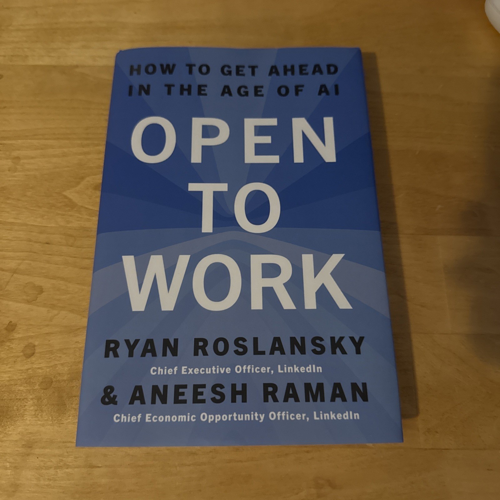 Open to Work (Hardcover) by Ryan Roslansky Aneesh Raman