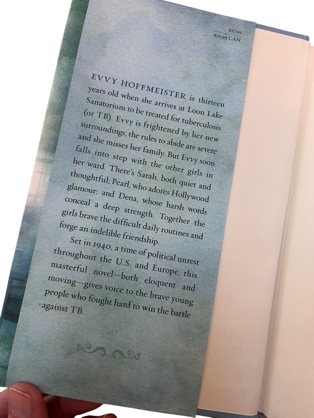 Breathing Room by Marsha Hayles – Gently Used Hardcover, 244 Pages, Young Adult