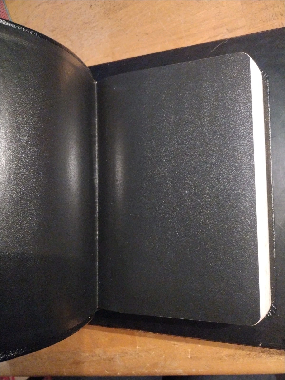 The Holy Bible Prophecy Study Edition. Nelson. 2008. Genuine Leather (8.5″ x 6″)