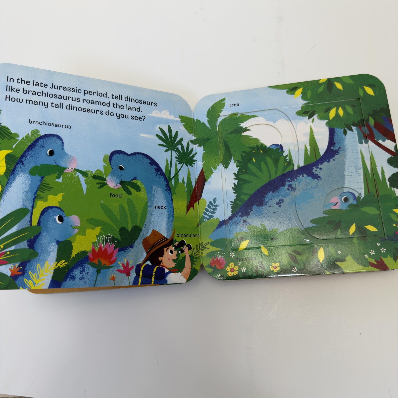 Peek-a-Flap DINO Jaye Garnett Cottage Door Press Dino Board Book Ages 2-3 Green