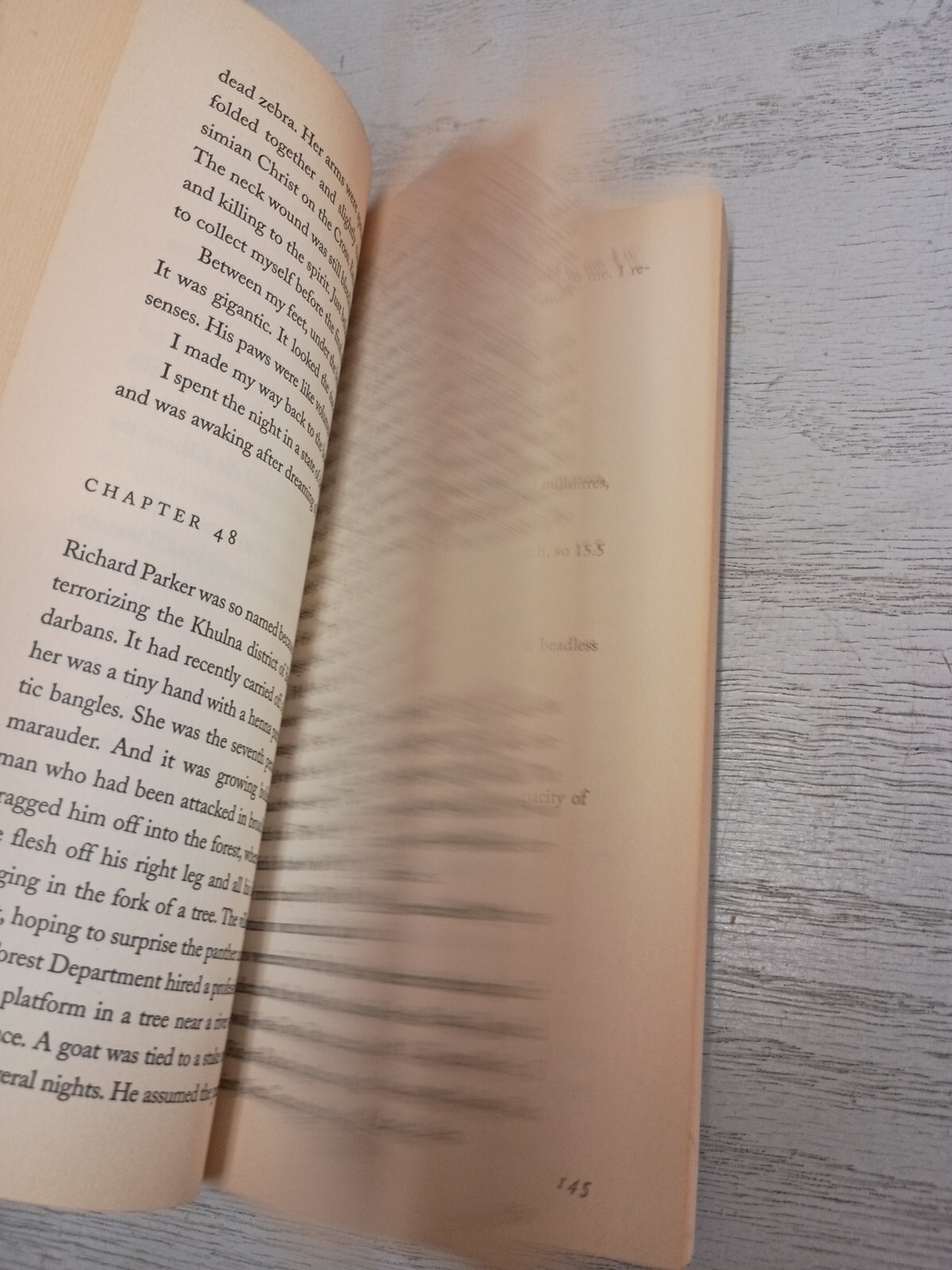 Life of Pi – A Novel By Yann Martel; 2002 Paperback