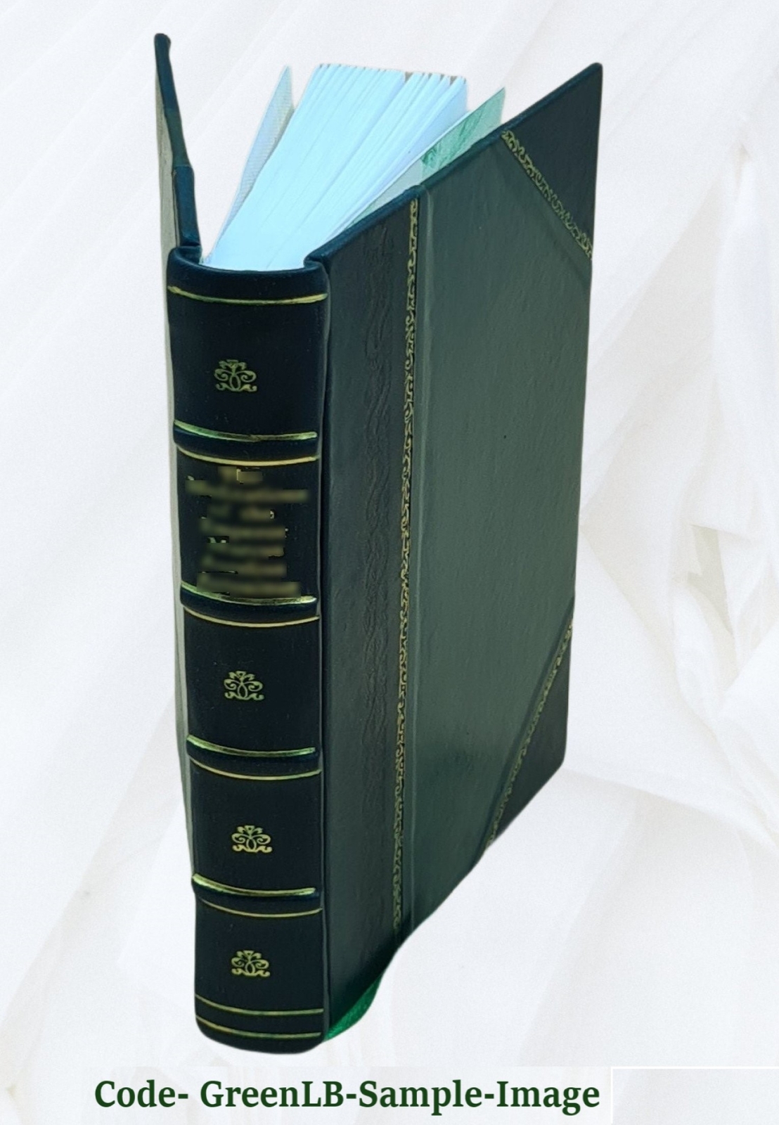 Regula Placitandi: A Collection Of Special Rules For Pleading Fr [Leather Bound]