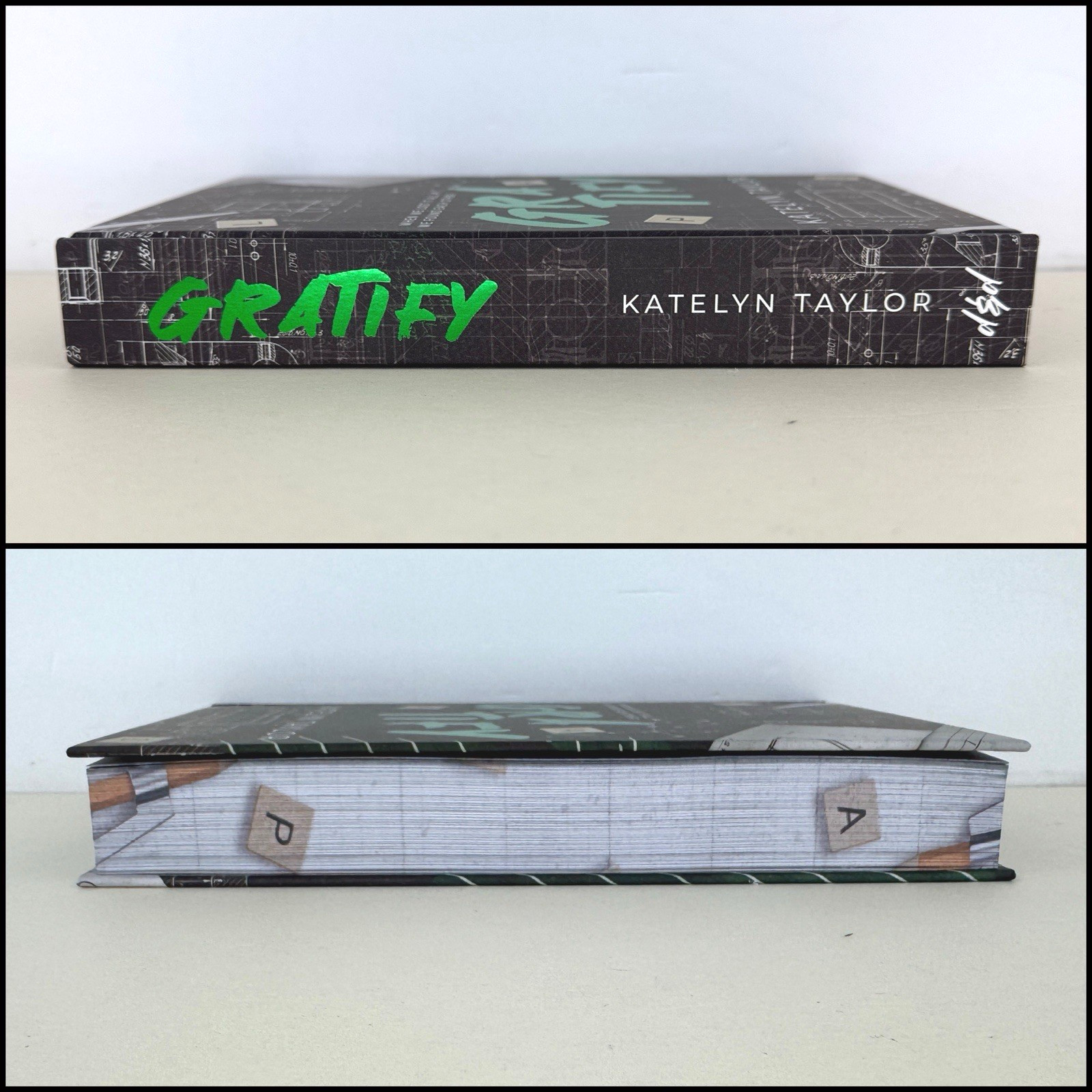 Gratify Katelyn Taylor Dark & Disturbed Special Edition Hardcover Digital Edges