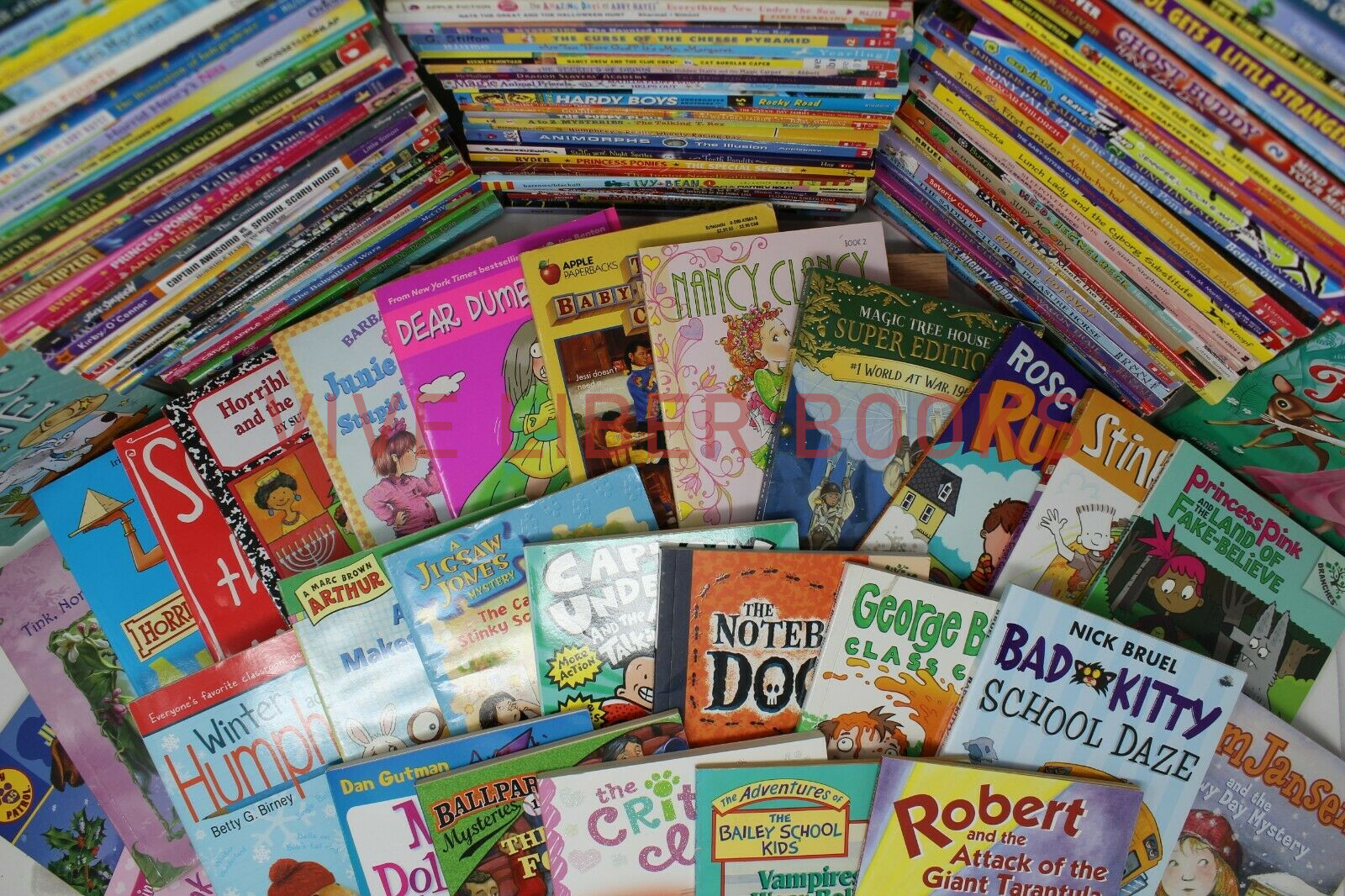 Bulk/Huge Lot of 100 of Children’s Kids Chapter Books – Random – Free Shipping!