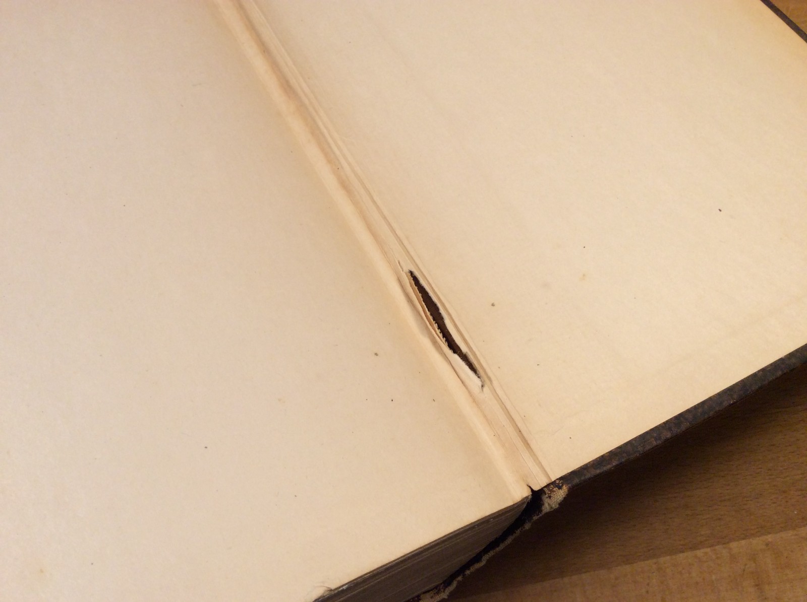 The Story of the Irish Race, Seumas MacManus, 1922 Hardcover, 3rd Edition