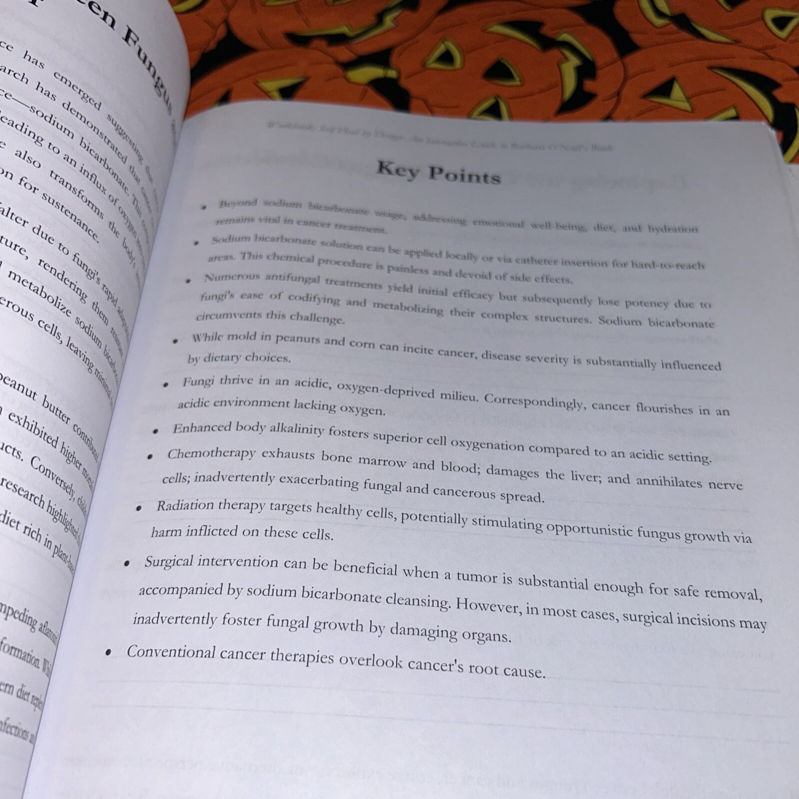 Workbook: Self-Heal by Design: an Interactive Guide to Barbara O’Neill’S Book