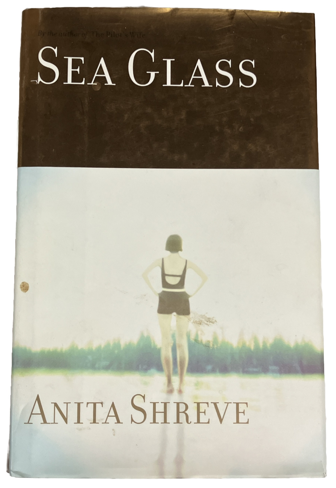 Sea Glass Anita Shreve 2002 Hardcover First Edition with DJ