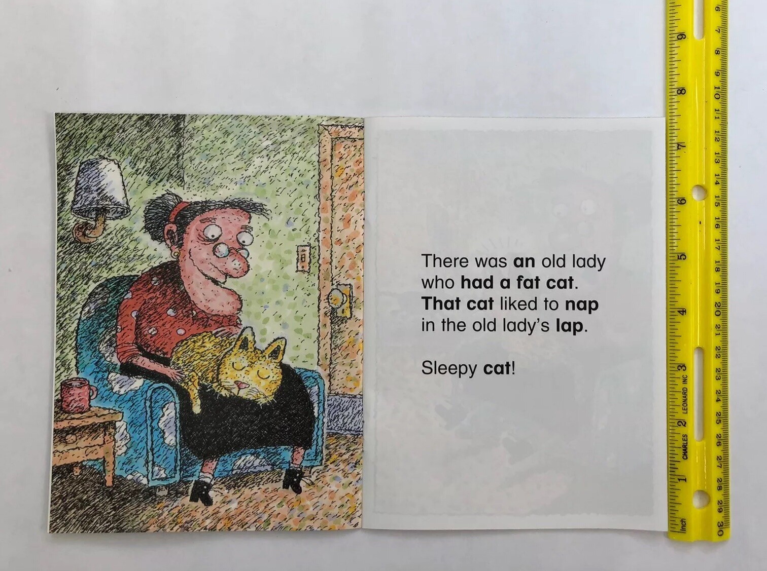 There Was An Old Lady Who Swallowed Some Phonics Lot 12