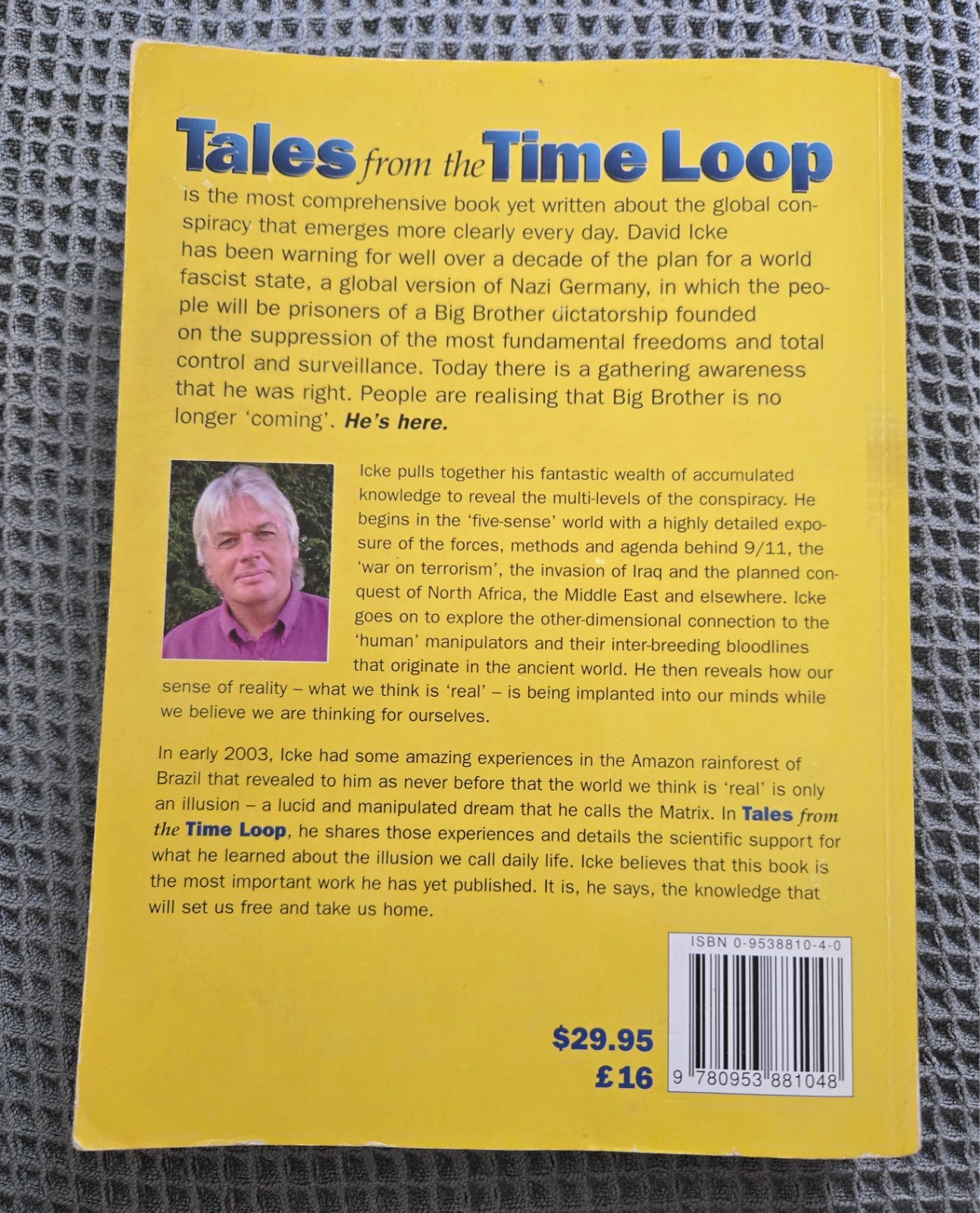 Tales from the Time Loop by David Icke Big Brother Global Conspiracy Book