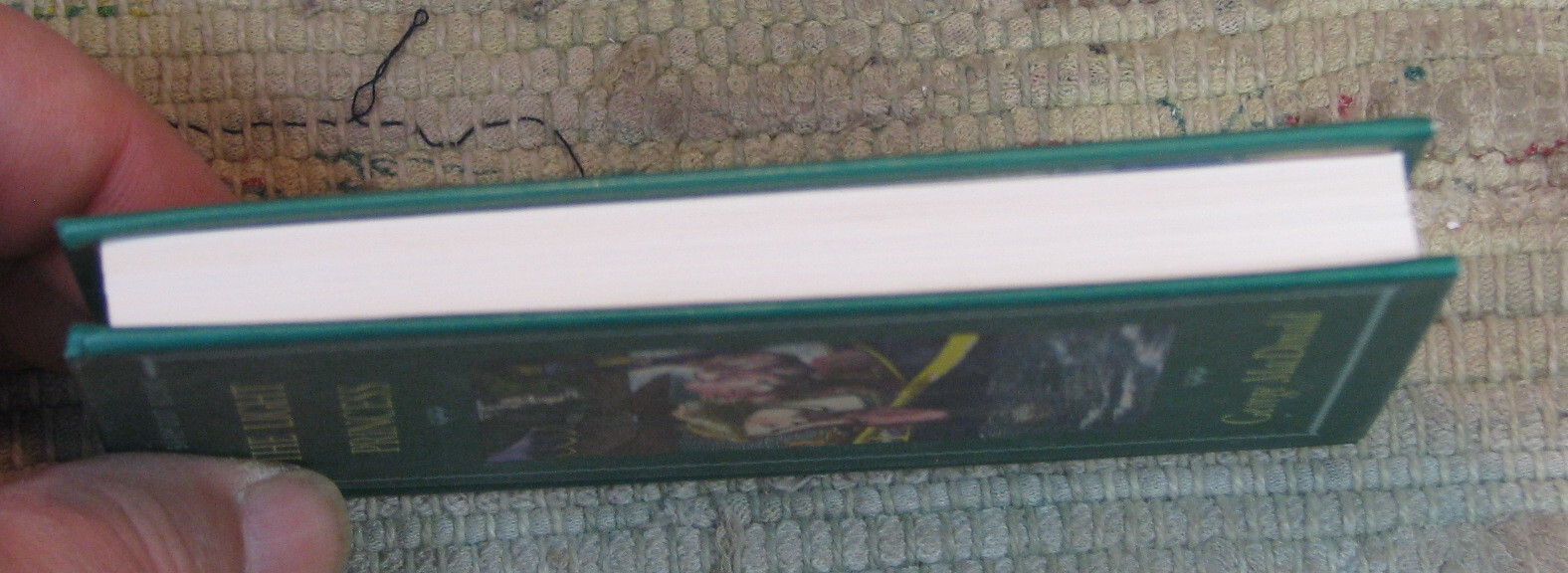 THE LIGHT PRINCESS by George MacDonald 1993 Mini First Barefoot Hardcover