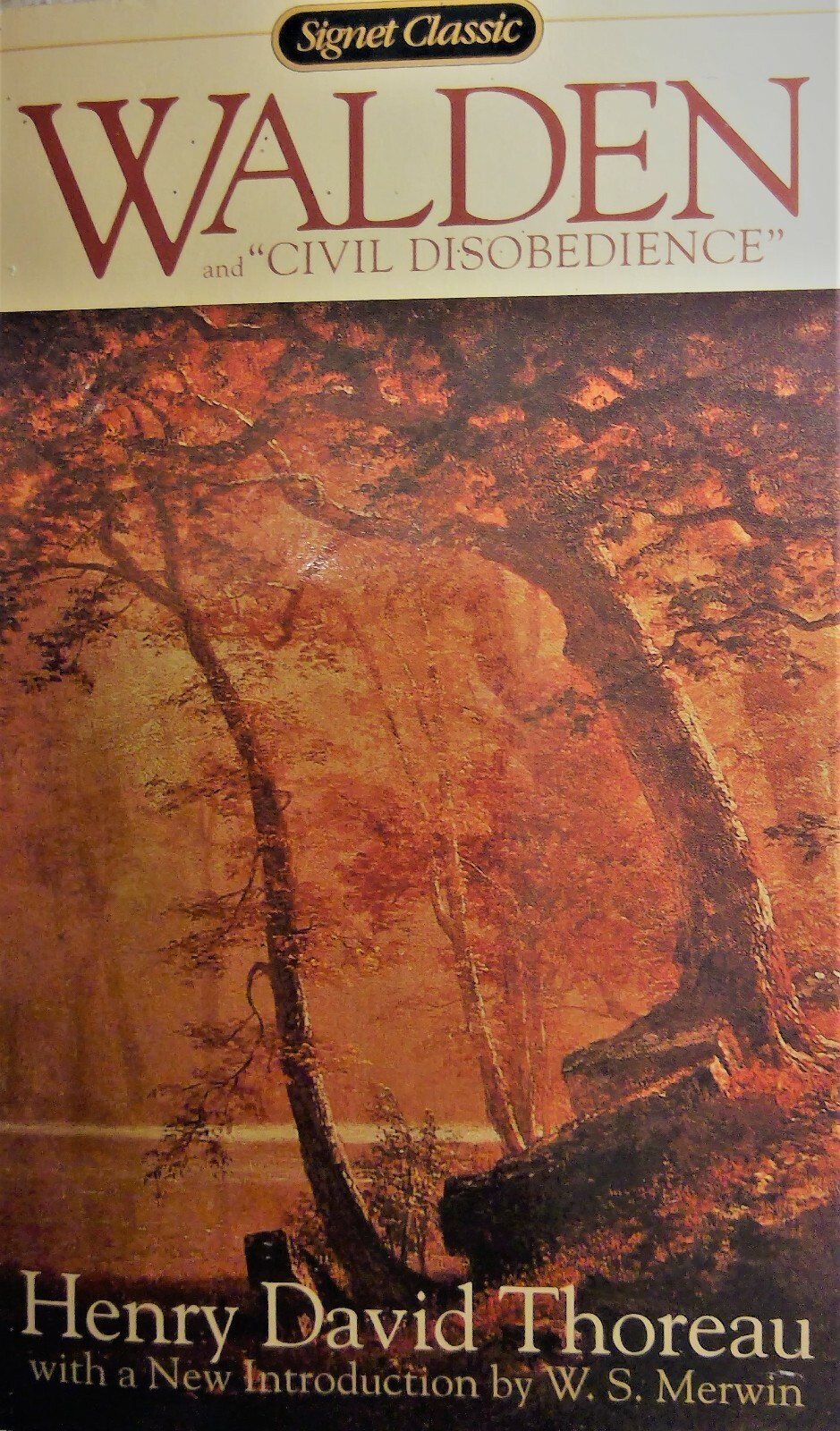 Walden by Henry David Thoreau (6.8in x 4.1in x 0.9in)