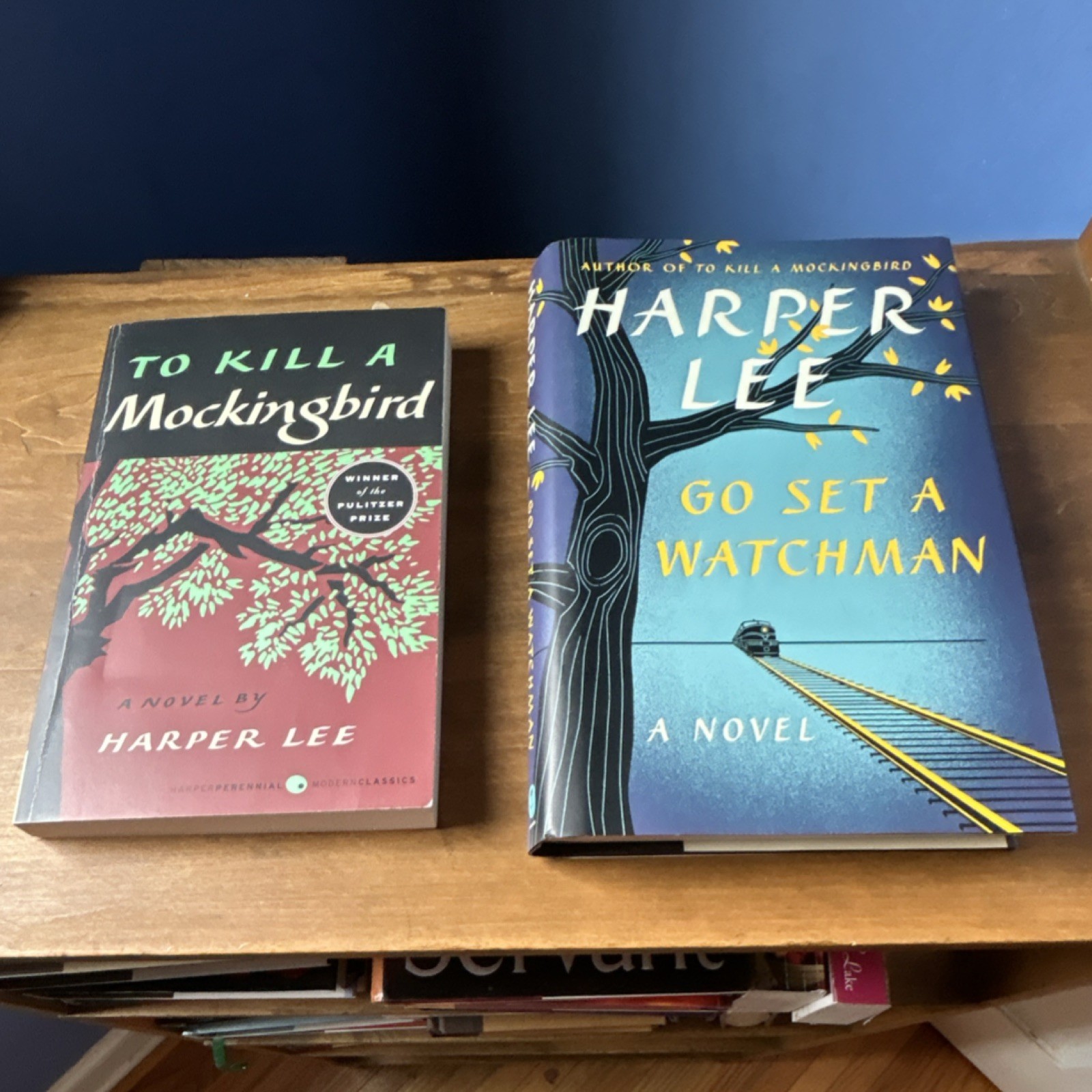 Harper Lee To Kill a Mockingbird & Go Set a Watchman Novels, Paperback & Hardco…