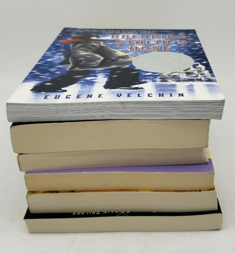 Lot of 6 Square Fish Paperback Books: Wrinkle in Time The Silver Branch Young Fu