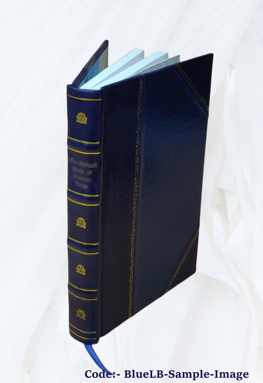 Teaching dull and retarded children, by Annie Dolman Inskeep … [Leather Bound]
