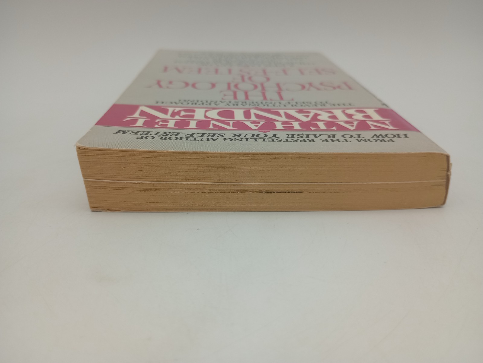 The Psychology of Self Esteem, Vtg Paperback, 1987, Bantam, by Nathaniel Branden
