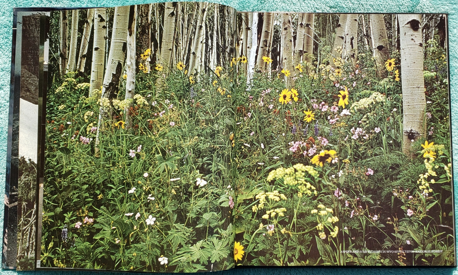 The Great Divide – The American Wilderness 1973 Time-Life Hardcover 184 Pages