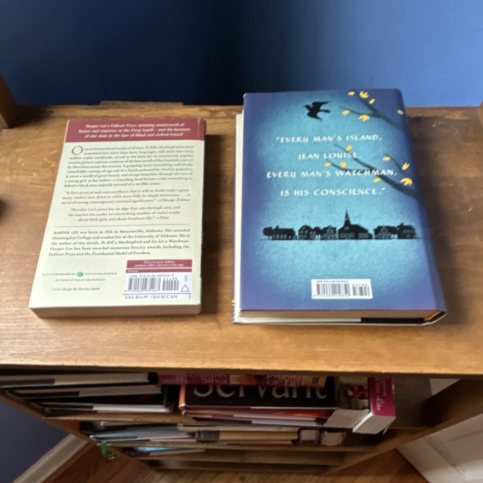 Harper Lee To Kill a Mockingbird & Go Set a Watchman Novels, Paperback & Hardco…