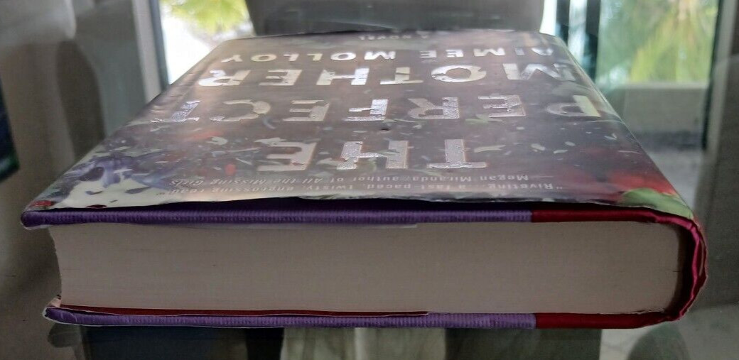 The Perfect Mother By Aimee Molloy Hardcover 317 Pages