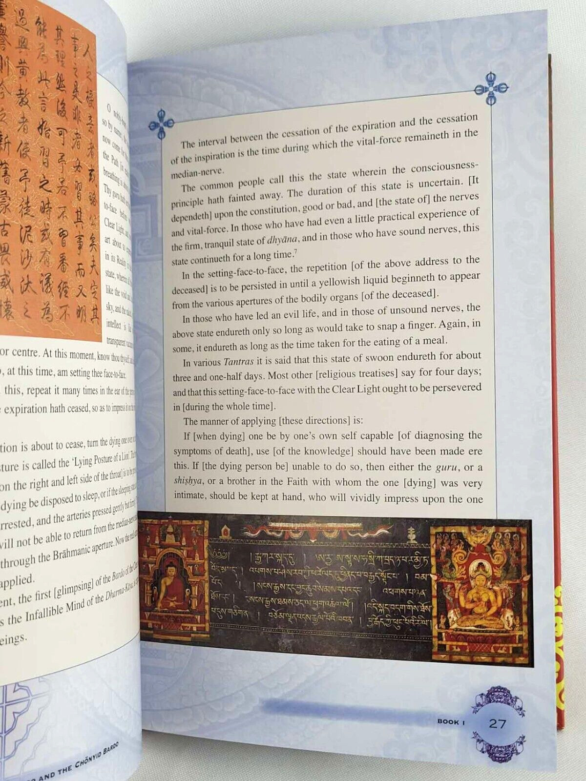 THE EGYPTIAN BOOK OF THE DEAD & TIBETAN BOOK OF THE DEAD Illustrated *Brand New*