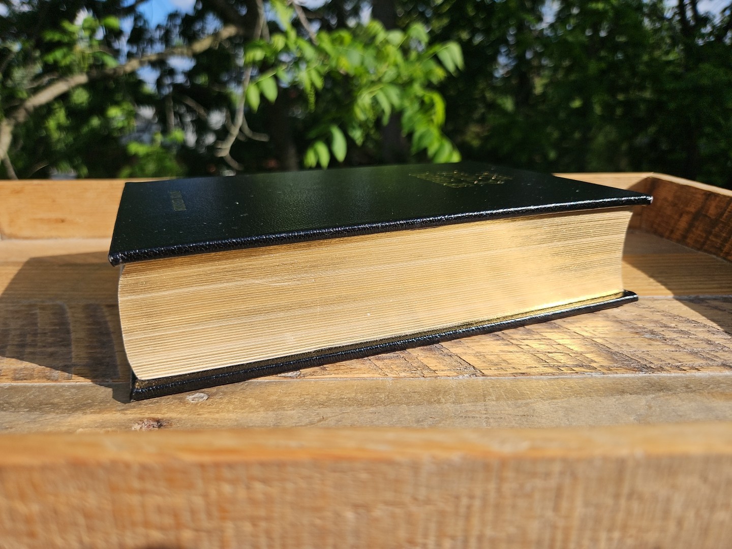 The Holy Bible–Knox Version Leather over Board by Baronius Press Latin Vulgate
