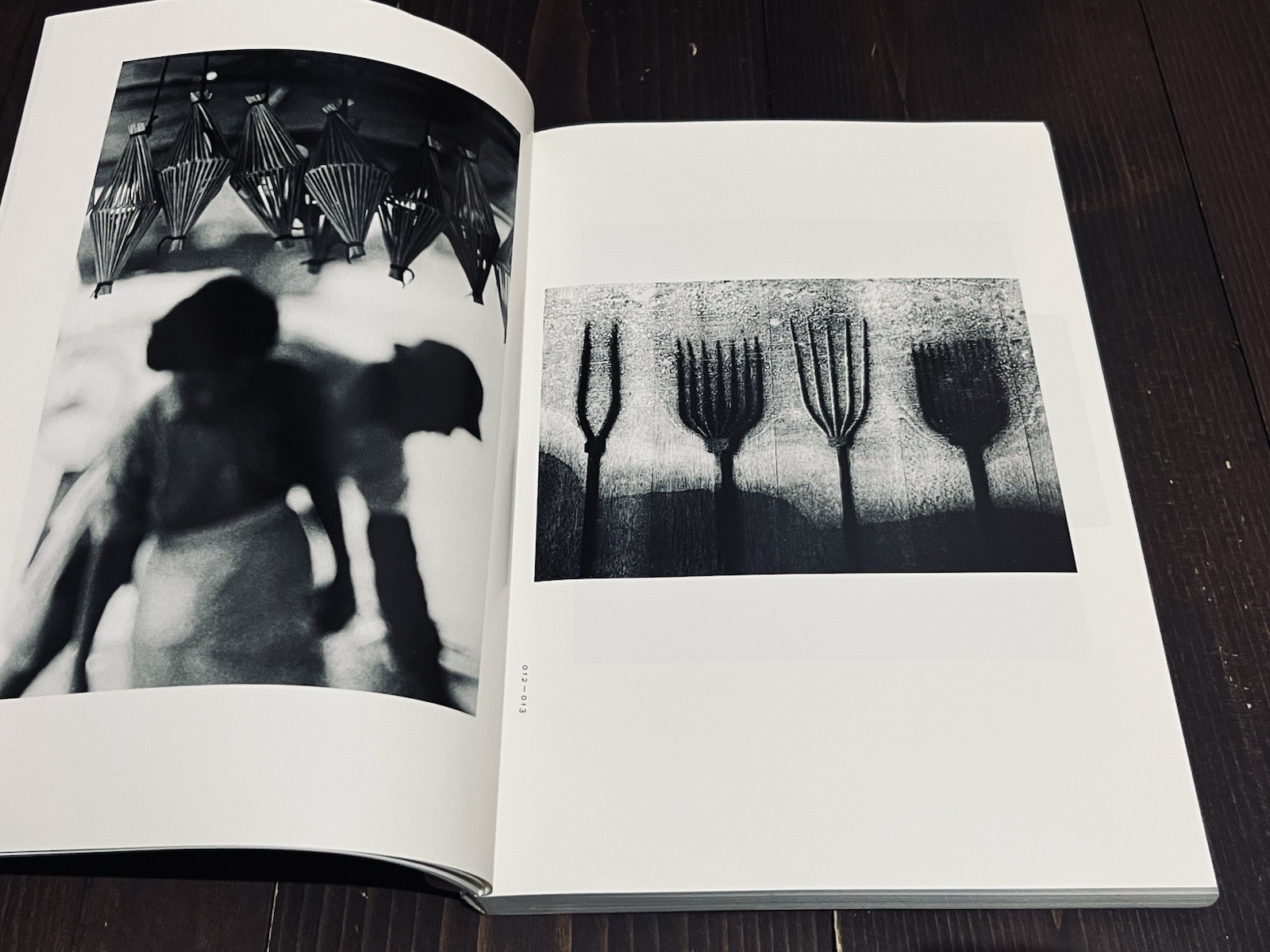 TARO OKAMOTO FOR THE SAKE OF THOUGHT PHOTO EXHIBITION CATALOG BOOK 2018 JAPAN