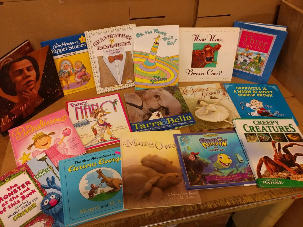 5 LBS (Pounds) Kids Children Books by Genre BOARD TODDLER CHAPTER STORYTIME SET