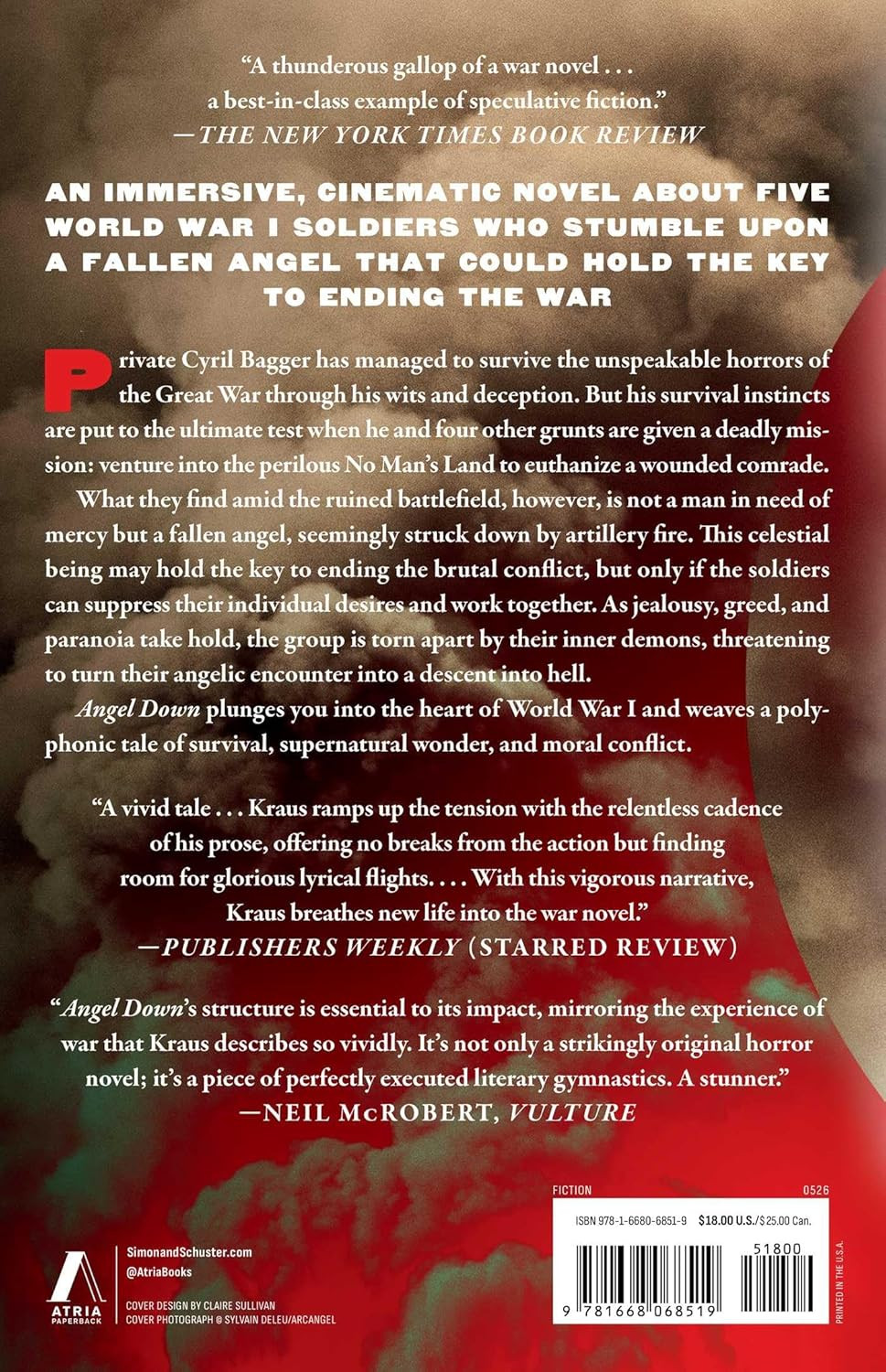 Angel down (Pulitzer Prize Winner): a Novel