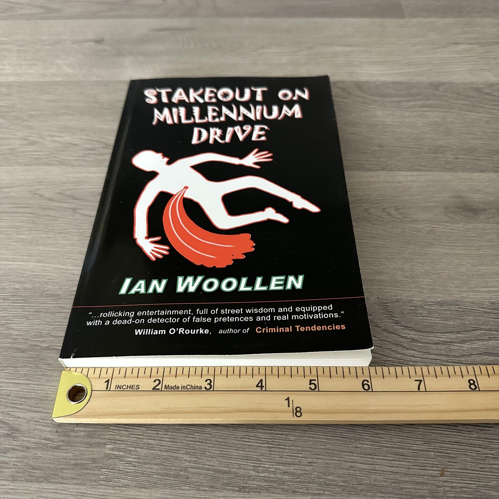 Stakeout On Millennium Drive Ian Woollen Signed Mystery 1st Ed 2005 PB USA