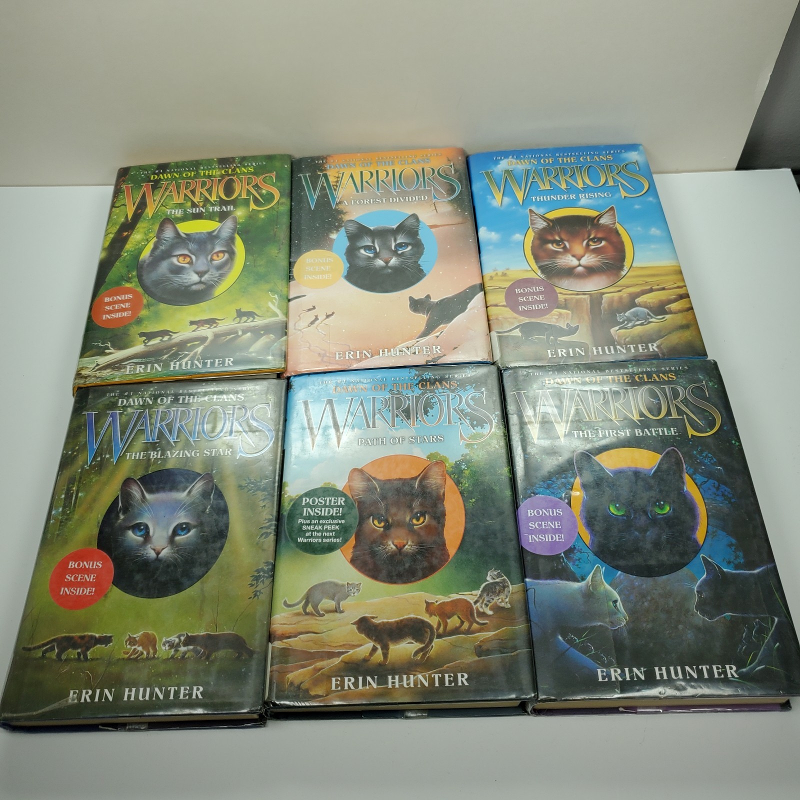 Warriors Series Dawn of the Clans 1-6 Set Hardcover Erin Hunter