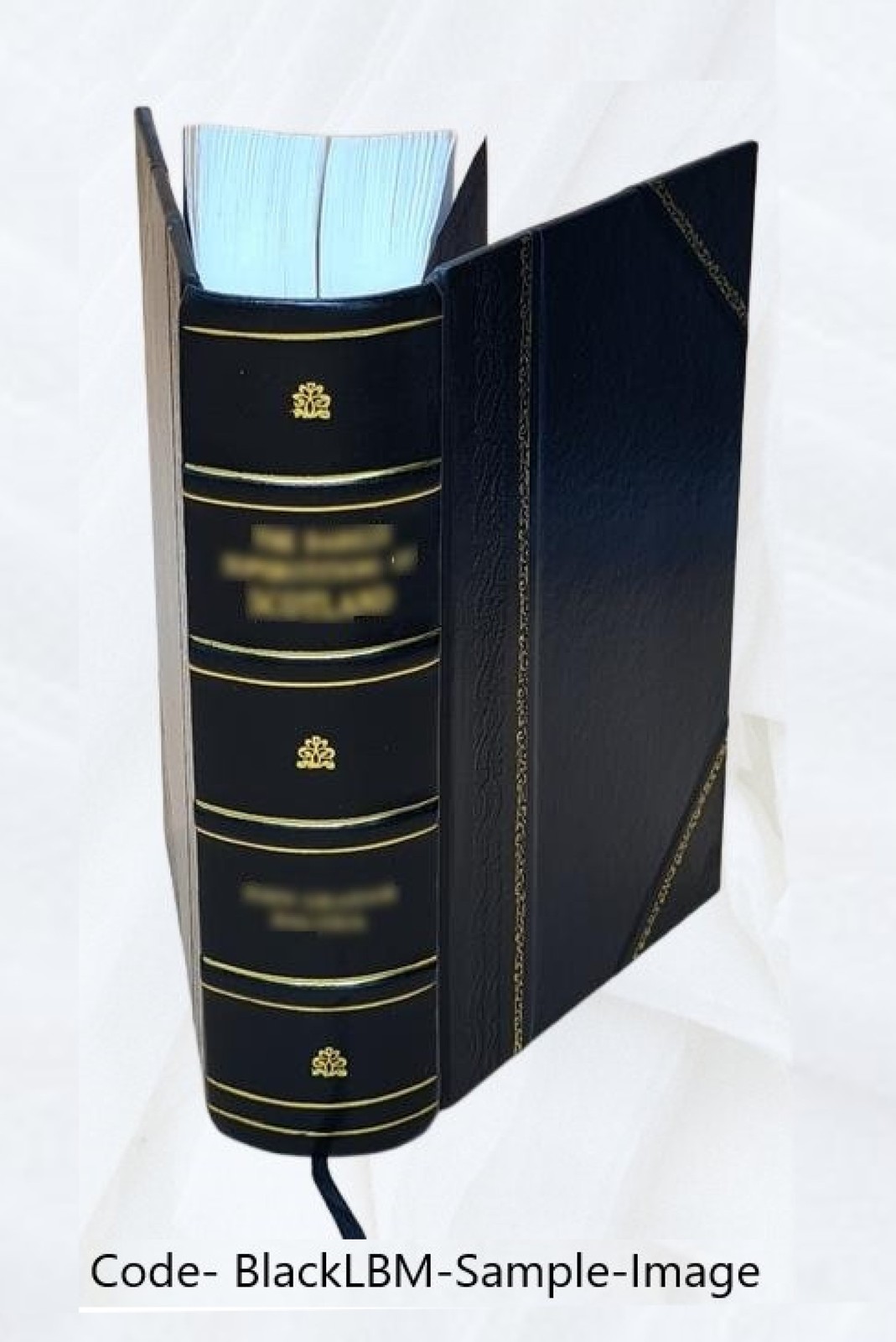 The Dispensatory of The United States of America 21st Edition 19 [Leather Bound]