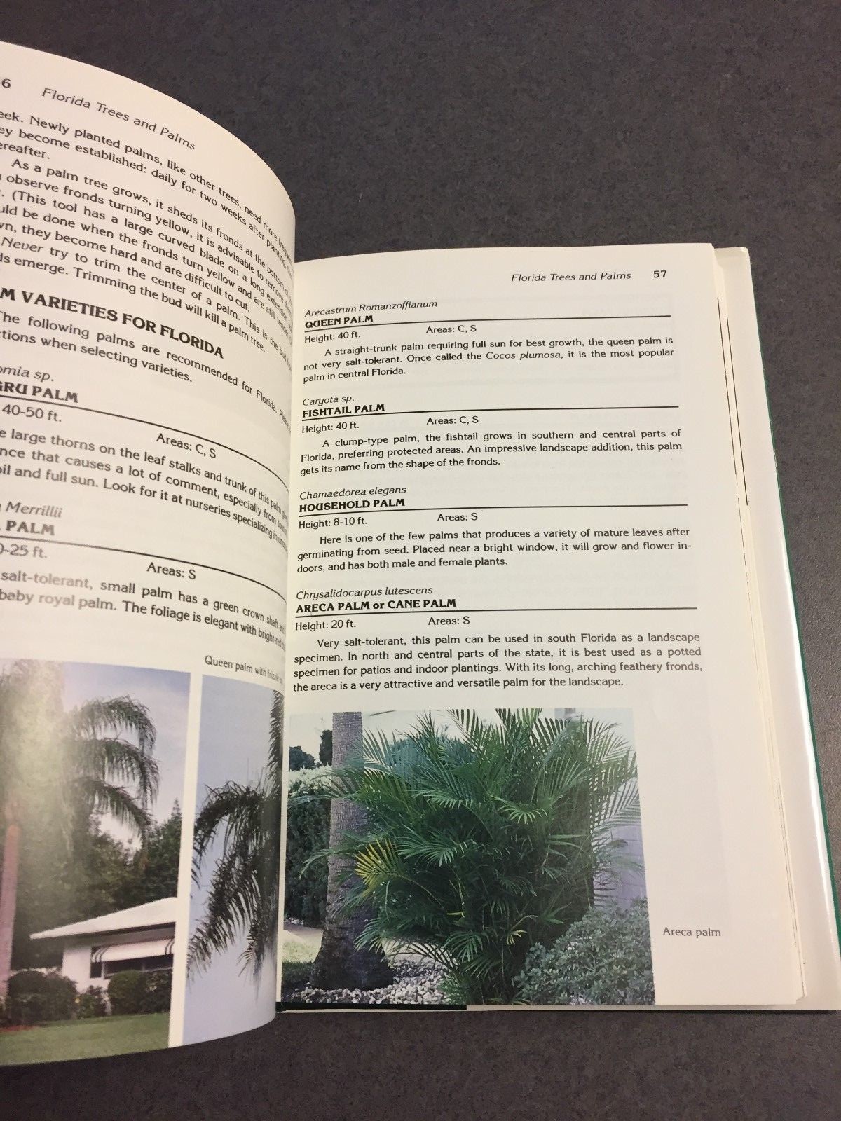 Complete Guide To Florida Gardening by Stan DeFreitas 1987 Color Hardcover