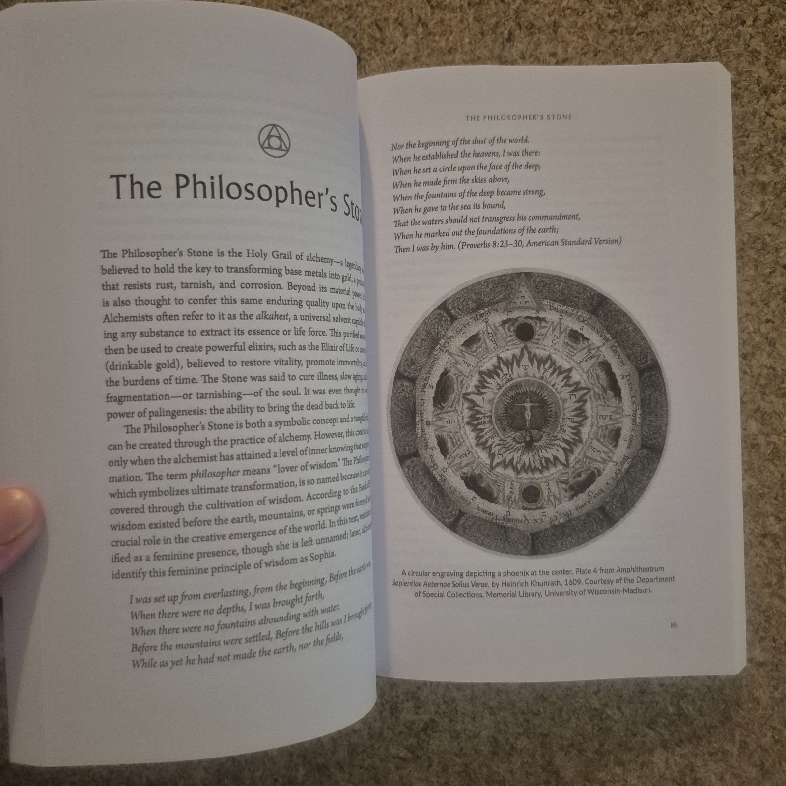Eliza Swann The Alchemical Imagination (Paperback) 2026 New Age Holistic