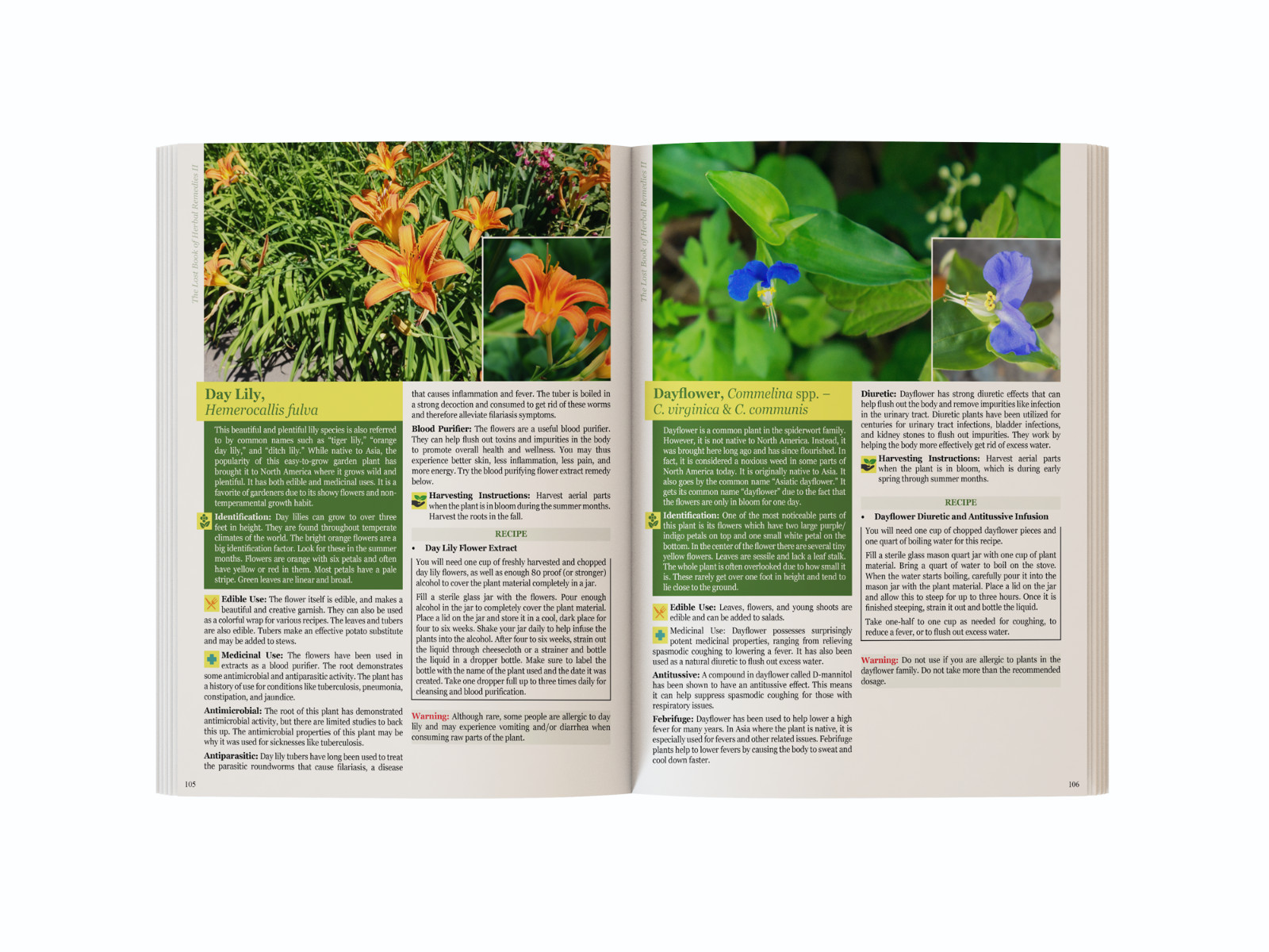 The Lost Book of Herbal Remedies II (paperback with color pictures)