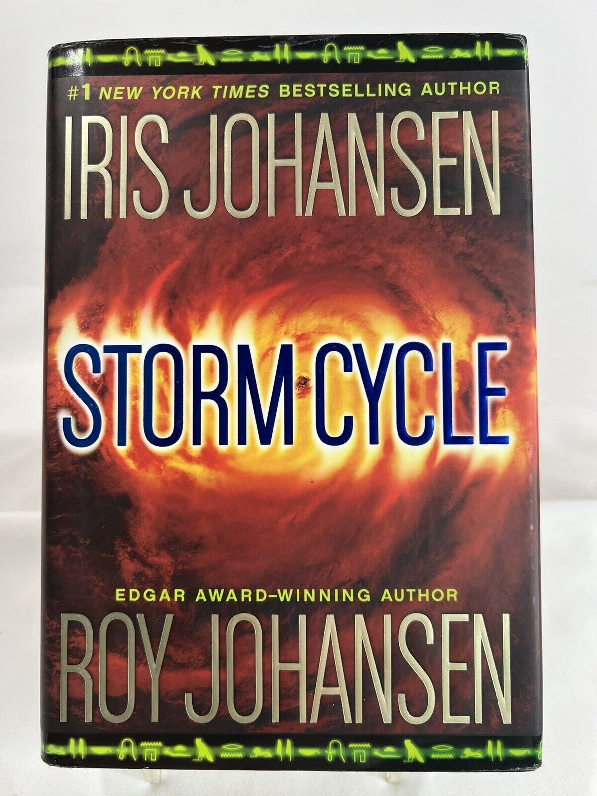 Iris Johansen Stormcycle Like New Hardcover Thriller Book Adults Unbranded