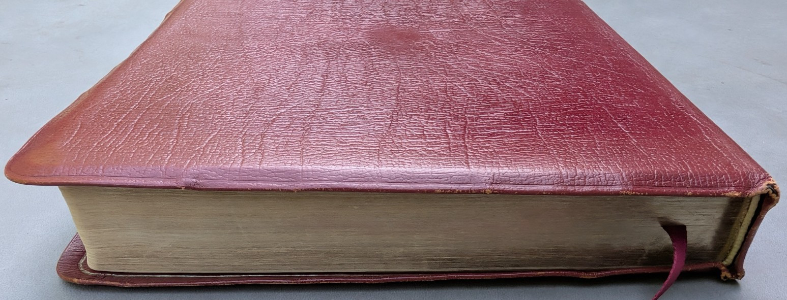 NEW SCOFIELD REFERENCE EDITION Red Cowhide Leather Bible KJV 1969 Oxford