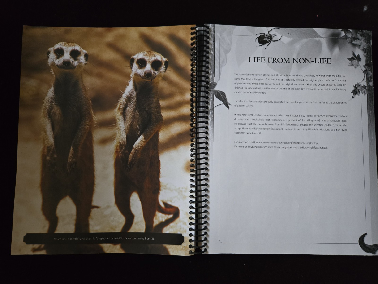 Museum Guide: a Bible-based Handbook to Natural History Museums