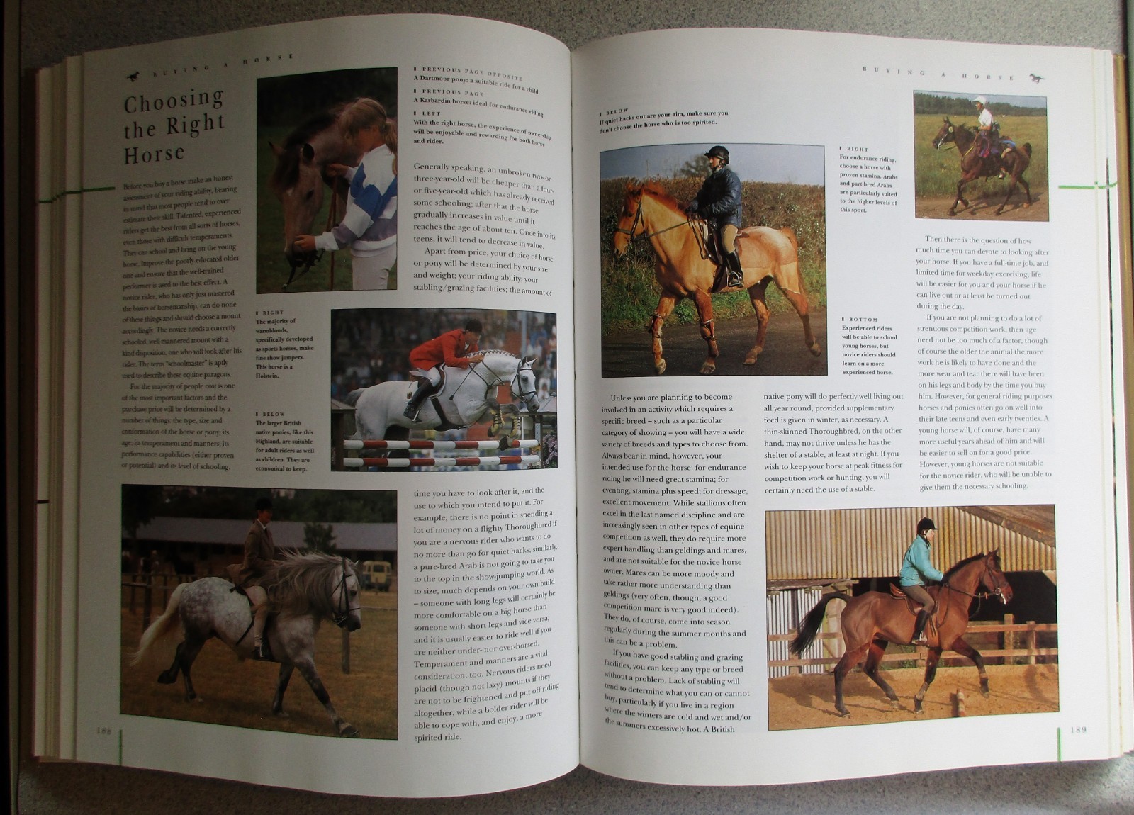 The Ultimate Book Of The Horse & Rider Hard Cover 512 Pages