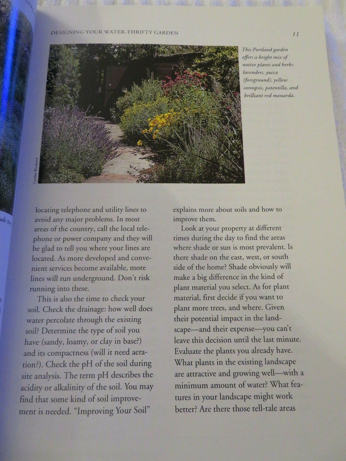 Water-Thrifty Garden by Stan Defreitas (1993, Paperback)