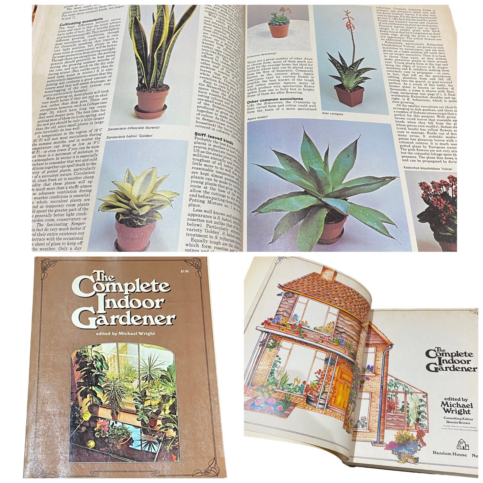 Vintage Indoor Gardener The Complete Book 1974 Ed by Michael Wright 256 Pages