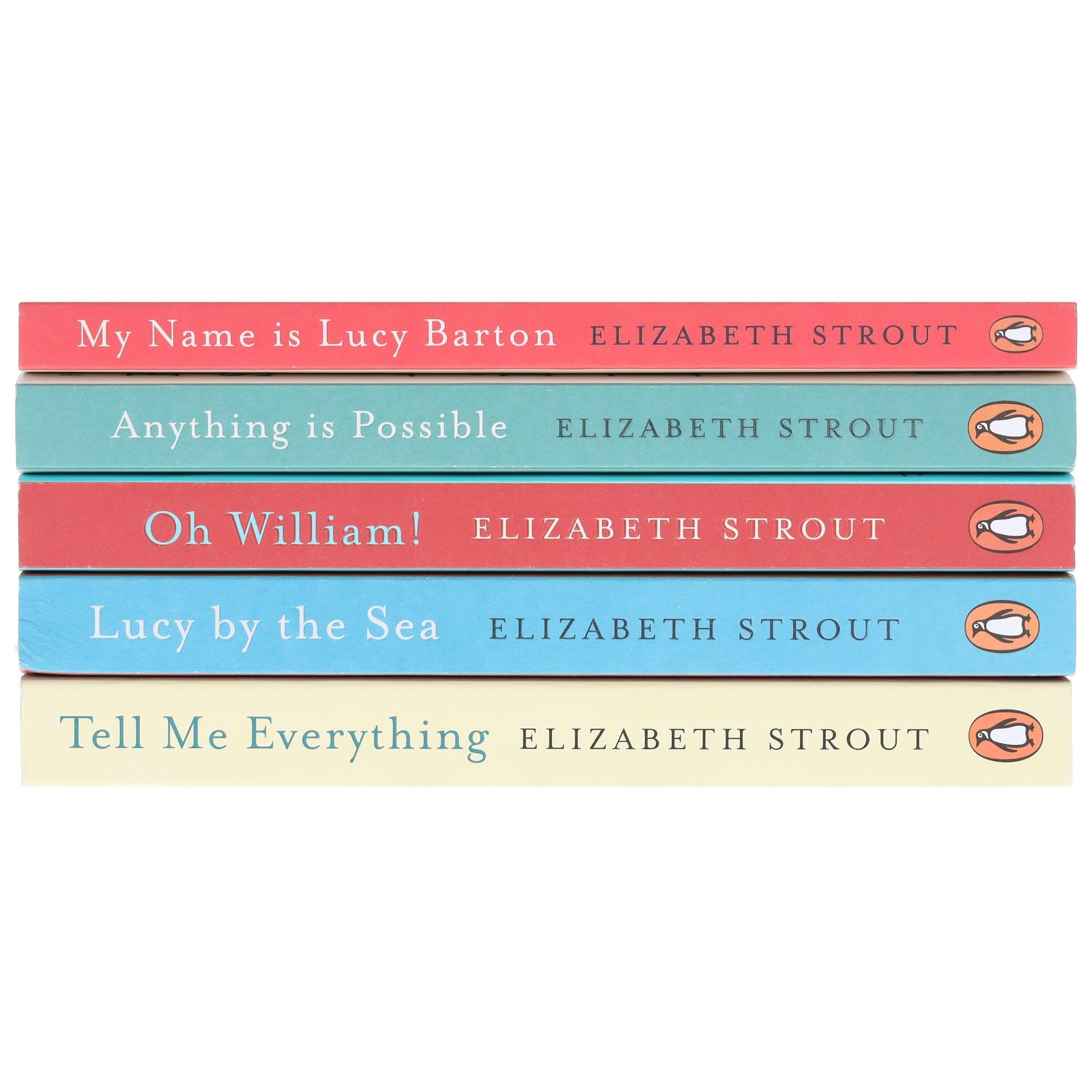Amgash Series by Elizabeth Strout 5 Books Collection Set – Fiction – Paperback