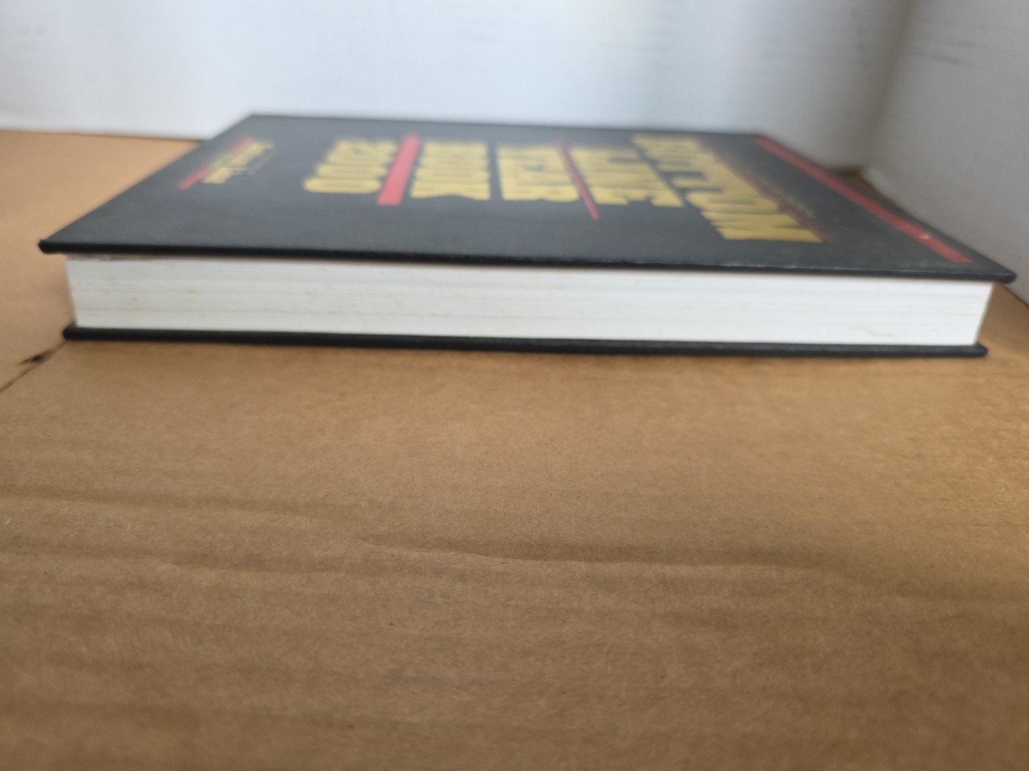 SPECIAL MILLENNIUM EDITION BOTTOM LINE YEAR BOOK 2000