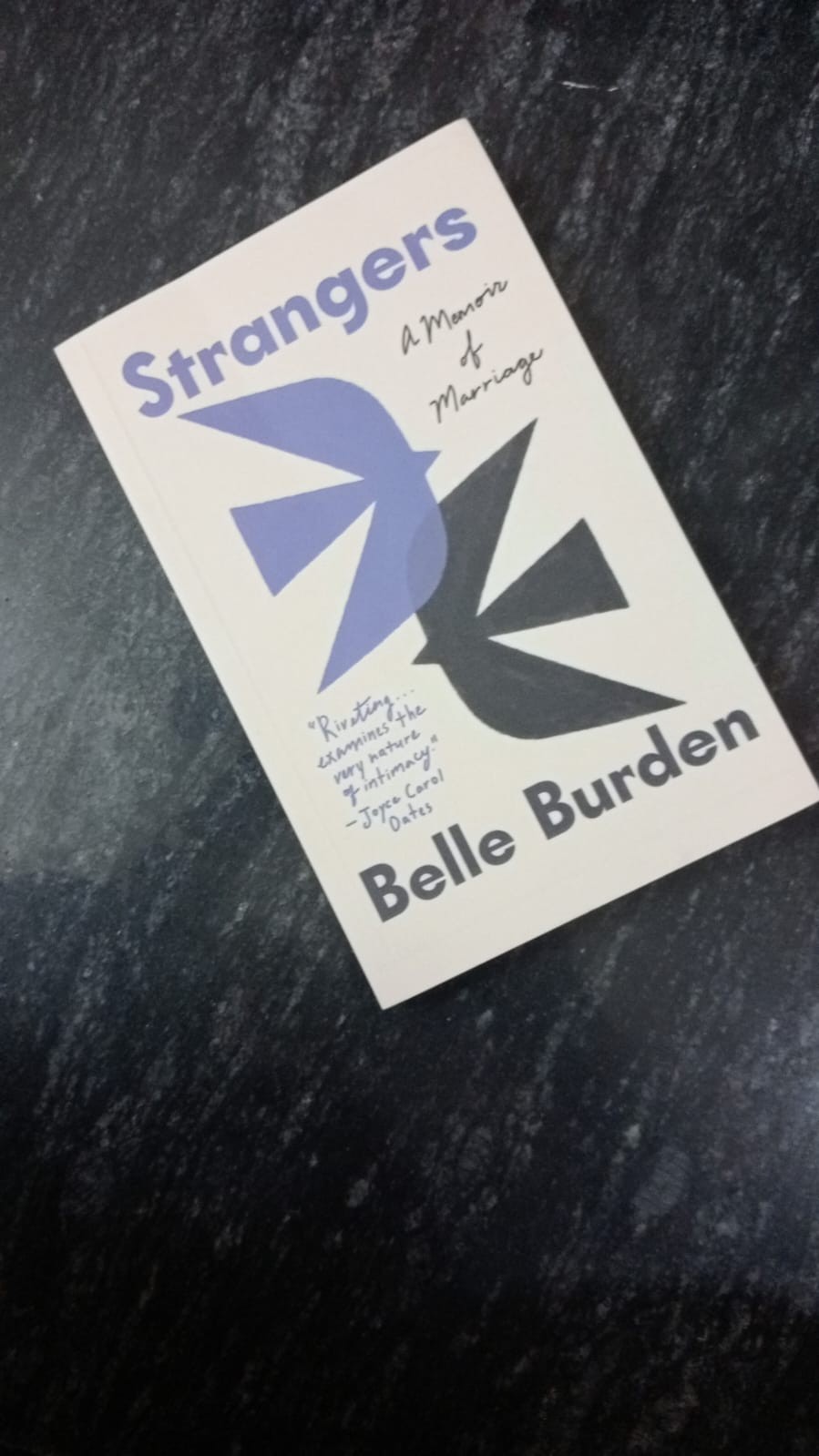 Strangers:by Belle Burden Brand New Book English Paperback Free Shipping USA