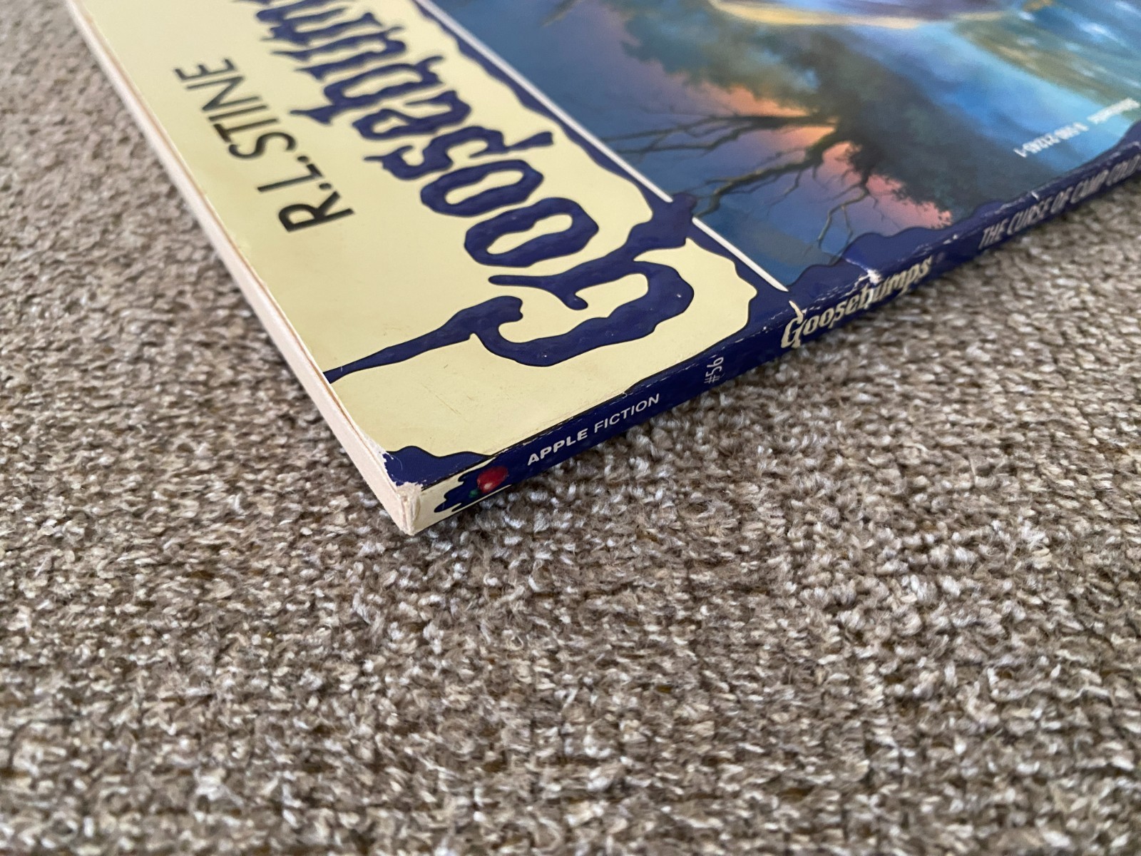 VG-/G+ Thin Edition 1st print Goosebumps #56 The Curse of Camp Cold Lake ~ Stine