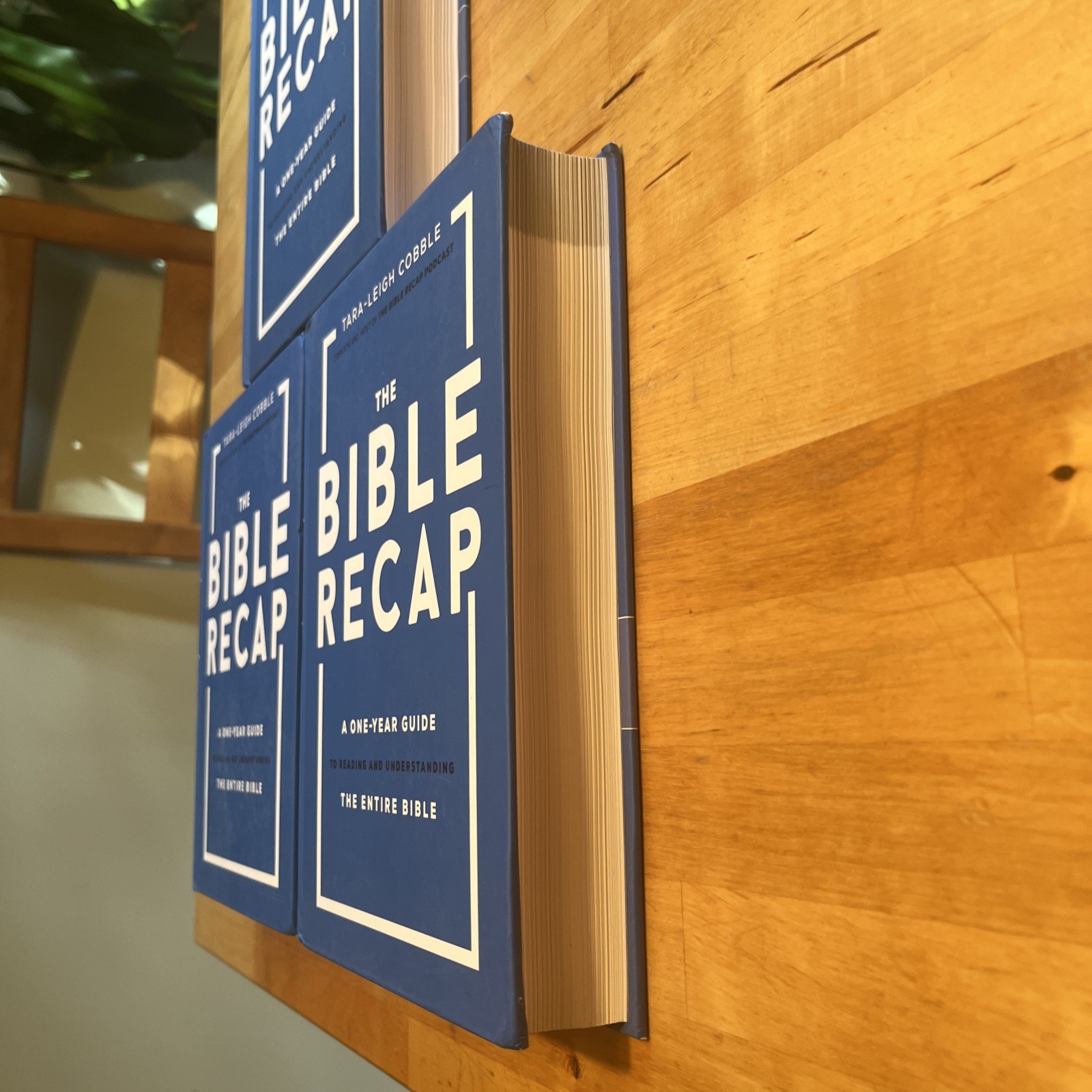 The Bible Recap A One Year Guide – Lot of 3 Hardcover Set – Tara-Leigh Cobble
