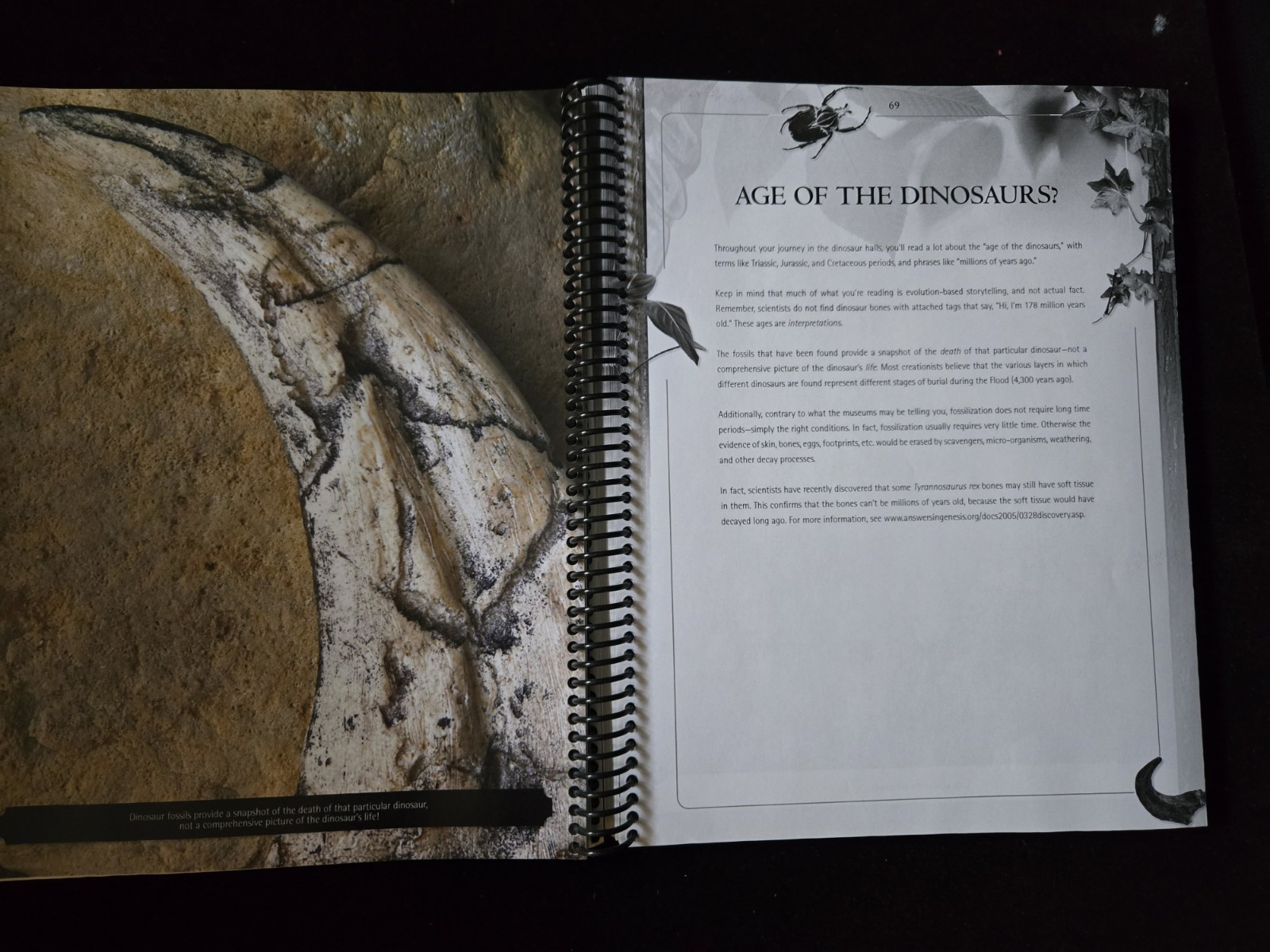 Museum Guide: a Bible-based Handbook to Natural History Museums